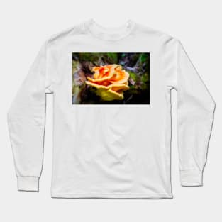 Bracket Fungi 1 Long Sleeve T-Shirt